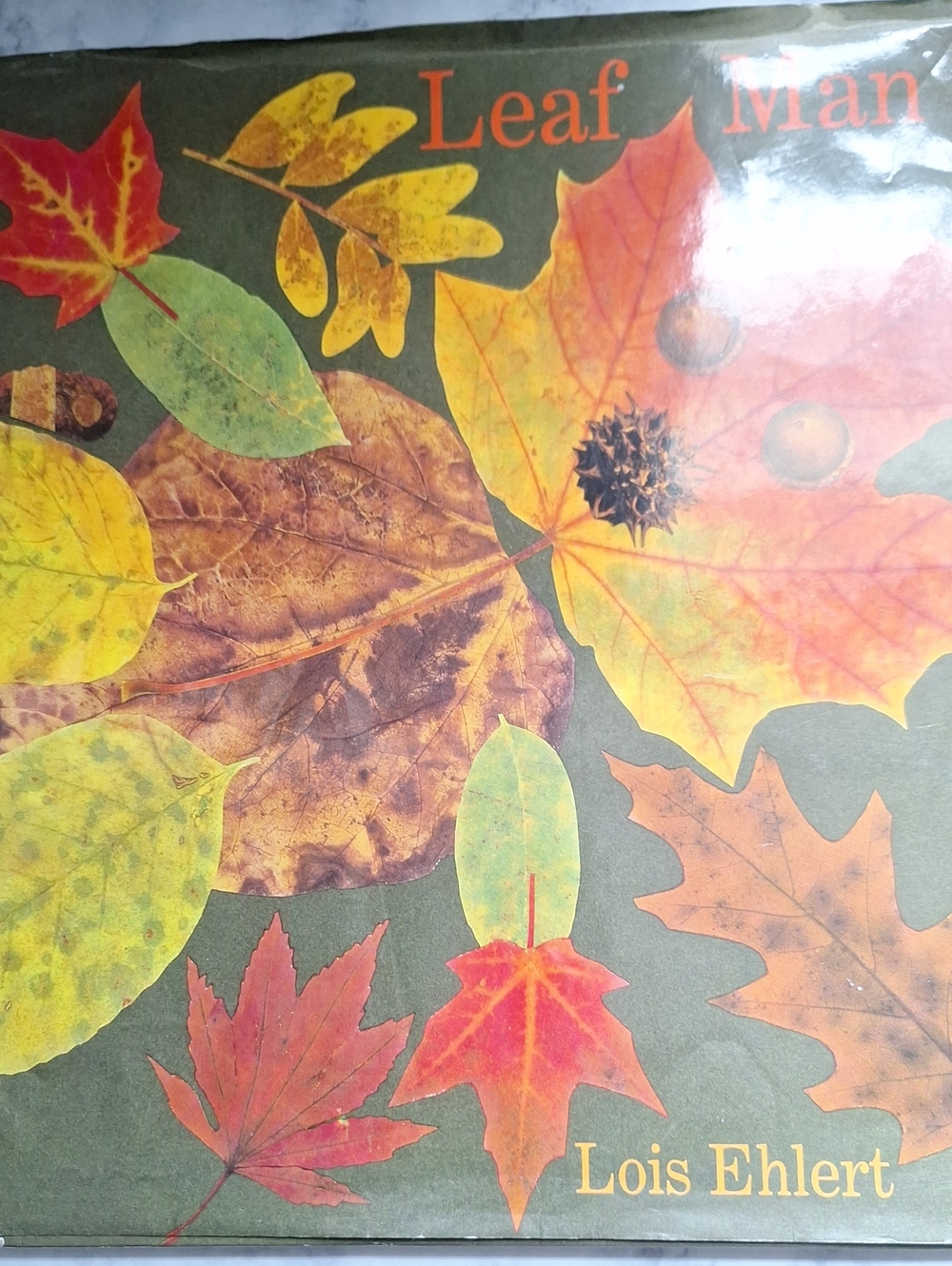Leaf Man by Lois Ehlert - Colorful Fall Leaves